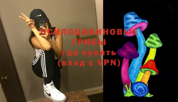 дурь Аркадак
