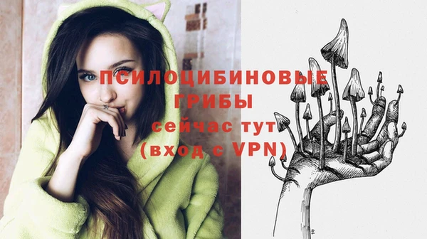 дурь Аркадак
