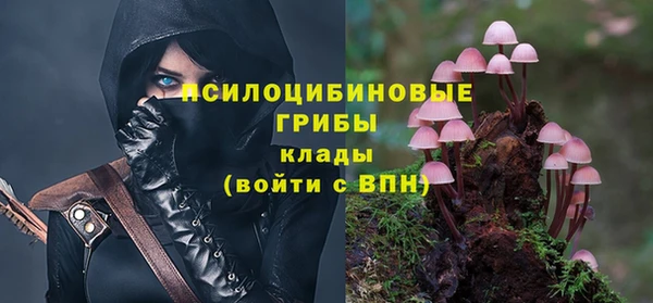 дурь Аркадак